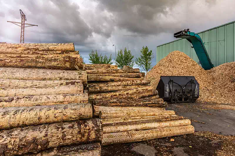 stoccaggio-e-trattamento-rifiuti-in-legno-a-parma-e-cremona Stoccaggio e trattamento rifiuti in legno a Parma e Cremona.